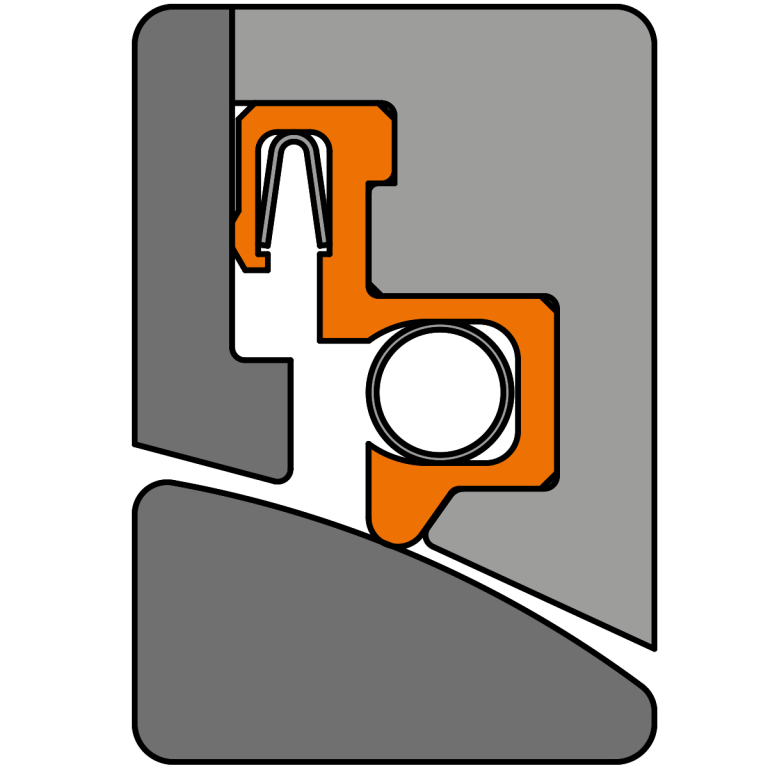 Valve seal with several spring-loaded sealing lips, for example once against the valve and once against the housing.